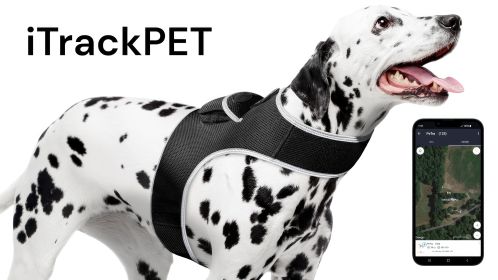 Get SMS Tracking Reports & Alarms w/ Mini Rechargeable GPS Pet Tracker Size:XS