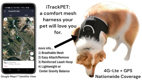 Pet Tracker Pet Finder Best GPS Dog Tracker w/ Android iPhone Application Size:XL