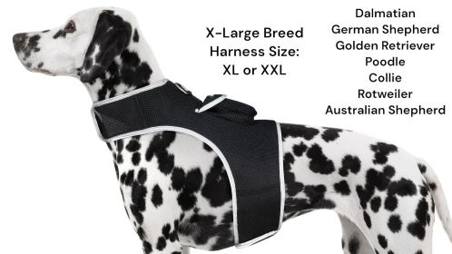 Get Realtime Location Update w/ Pet Tracker GPS Tracking Collars for Dogs Size:XS