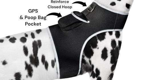 Waterproof GPS Tracking System for Dogs Realtime Pet Security Tracker Size:XL