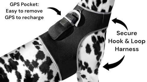 Get Realtime SMS Site Reports w/ Waterproof Mini GSM GPS Pet Tracker Size:XXL