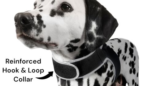 Mini GPS for Pets Tracking Rechargeable Collar Mount Portable Tracker Size:L