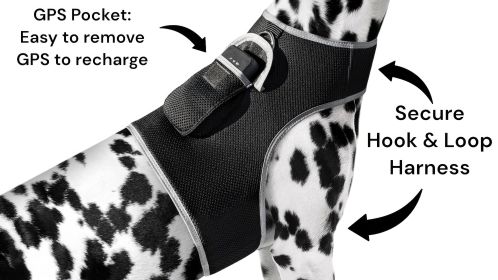 Low Cost Collar GPS Pet Tracker Waterproof GSM GPRS Tracking Device Size:L